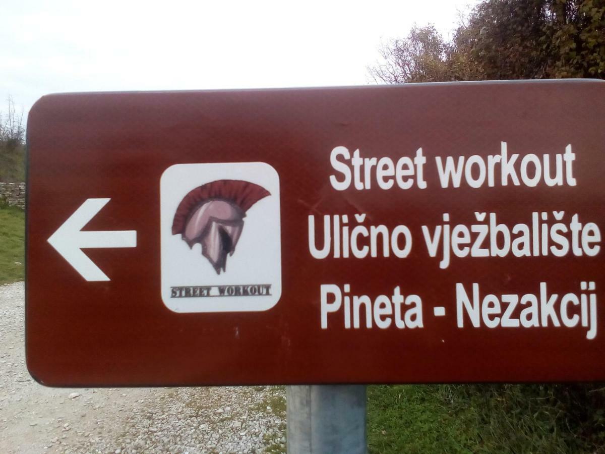 Apartma Ella